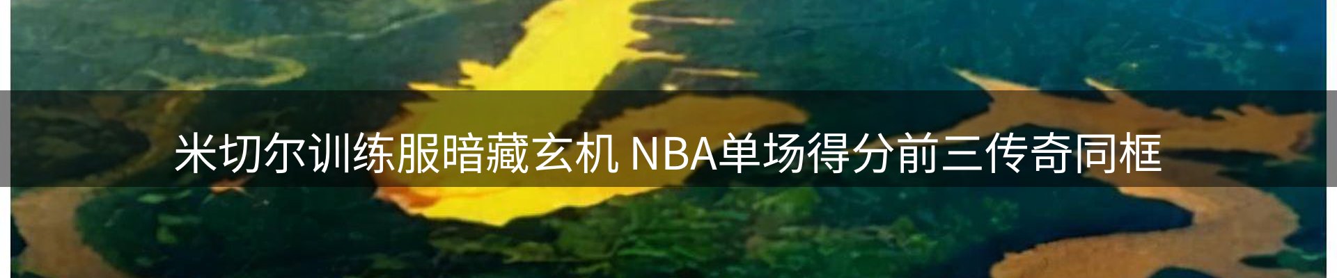 新闻资讯